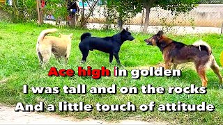 Mr  Big - Colorado Bulldog (Karaoke)
