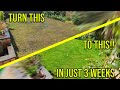 HOW TO FIX YOUR PATCHY LAWN *IN JUST 3 WEEKS*