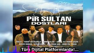 Yusuf Hayaloğlu - Bu Yıl Bu Dağların Karı Erimez ''Pir Sultan Dostları'' (Official Audıo) Resimi