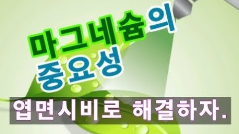 마그네슘공급의 중요성 - 토양에서 결핍되기 쉬운 마그네슘(고토) 엽면시비로 해결해보자.
