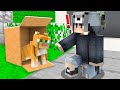 YAVRU KEDİYİ KİM SOKAĞA ATTI 😱 - Minecraft