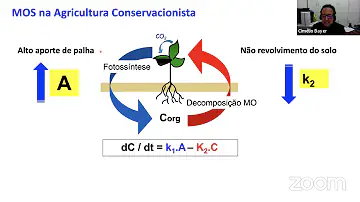 Em qual delas se encontra a matéria orgânica já bastante decomposta?