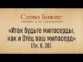 Соборное чтение слова Божьего на неделю (20 июня)