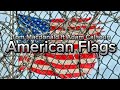 Tom Macdonald & Adam Calhoun-American Flags (Lyrics)