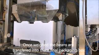 Fully Automated Green Bean Packing Machine