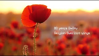 80 years D-Day - Belgian Overlord Wings