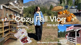 Celebrity Cozy Fall Day Vlog ๐๐งบ (apple picking, autumn foods, & seasonal adventures) Wealth