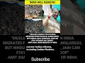 CAA Explained in 30 Seconds: Why India’s Citizenship Law Is Controversial Again