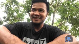 Rahasia Kebal Dari Sengatan Lebah