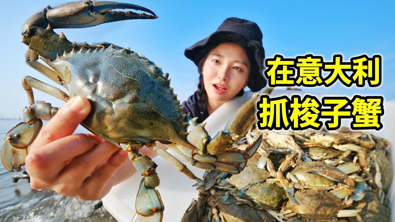 意大利梭子蟹泛滥，2小时夹100斤，满海螃蟹随你抓！| 意大利 | 赶海 | 螃蟹 | 海鲜 | 户外 |