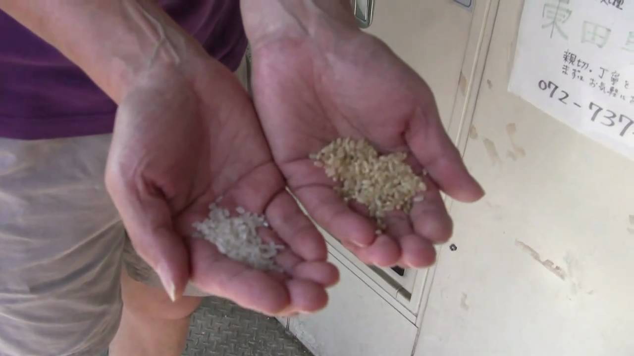 Japanese rice polishing machine on coins (コイン精米) YouTube