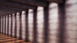 Duaflex Iv Cl Vfx Project