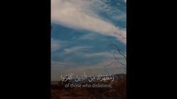 سورة المائدة من صلاة التراويح  الشيخ أحمد الحداد