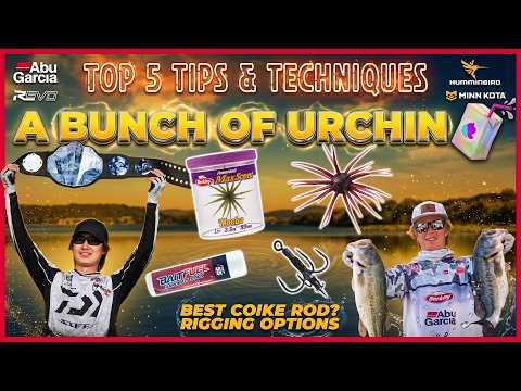 Lotsa urchin 🧃, Best Coike rod? Rigging options - Top 5 Bass Fishing Tips + Trends