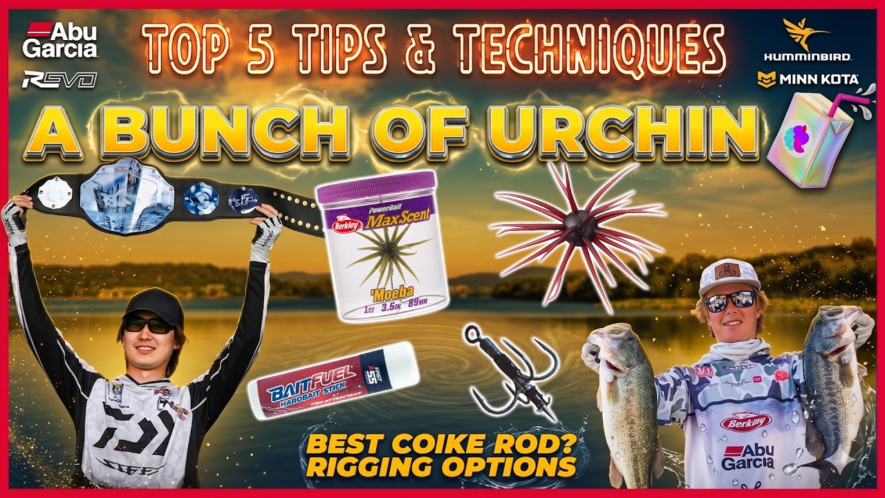 Lotsa urchin 🧃, Best Coike rod? Rigging options – Top 5 Bass Fishing Tips + Trends