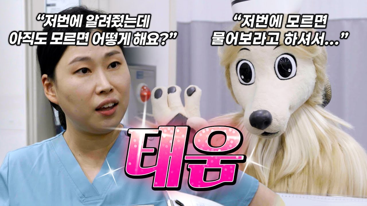 이러다 타 죽겠다 #간호사 #병원 #응급실 #공습경보