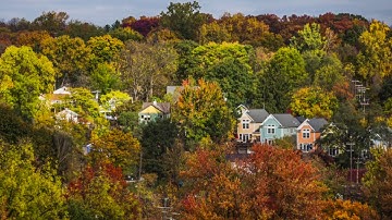 Check out this timelapse video of leaves changing in Ann Arbor