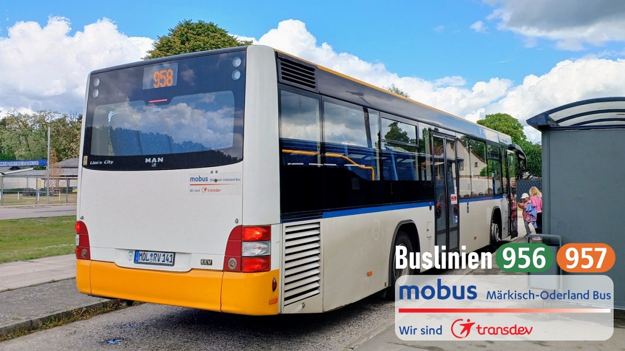 mobus | Mitfahrt Bus 956/957: Seelow - Letschin - Neuhardenberg | MAN EL293 Lion's City LE Ü A78
