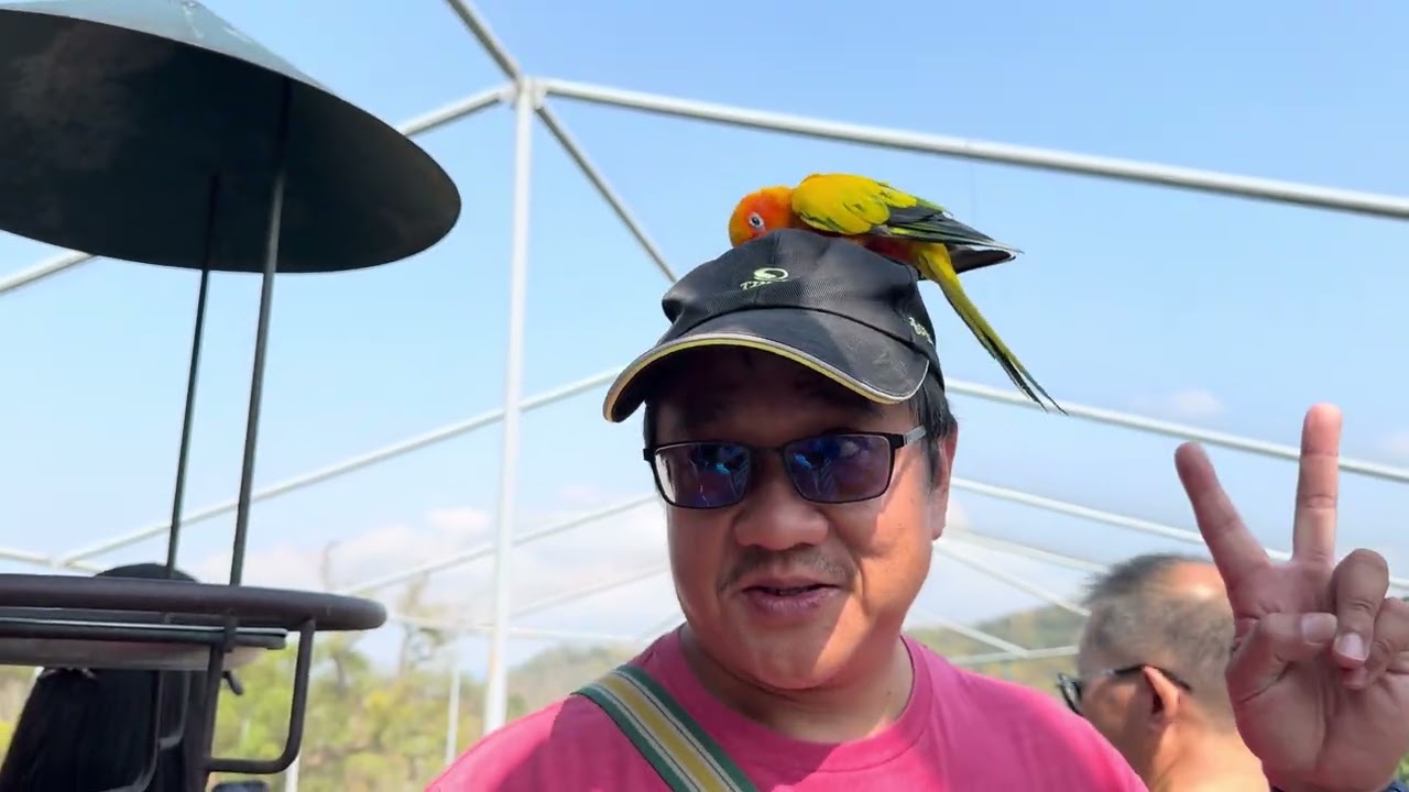 九九峰動物樂園