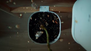 IKEA『One Change, Changes Everything - Second Life』