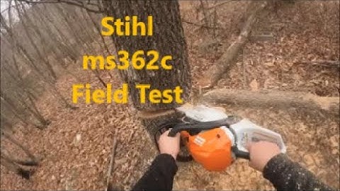 Stihl ms362c Chainsaw Cutting Firewood My Honest Opinion About the Chainsaw