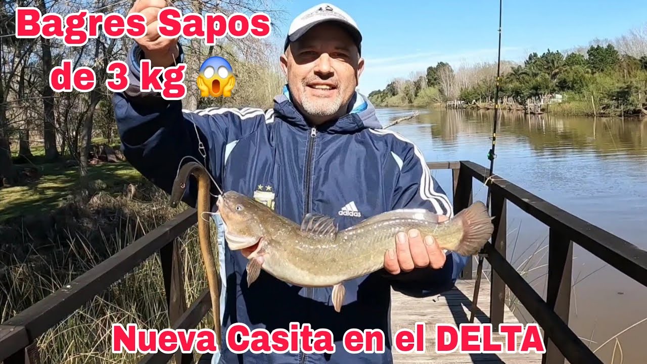 INCREIBLE PESCA Y COCINA en el DELTA !! Taruchones , Bagres de 3 kg , Bogas  y PARRILLADA DE PESCADO