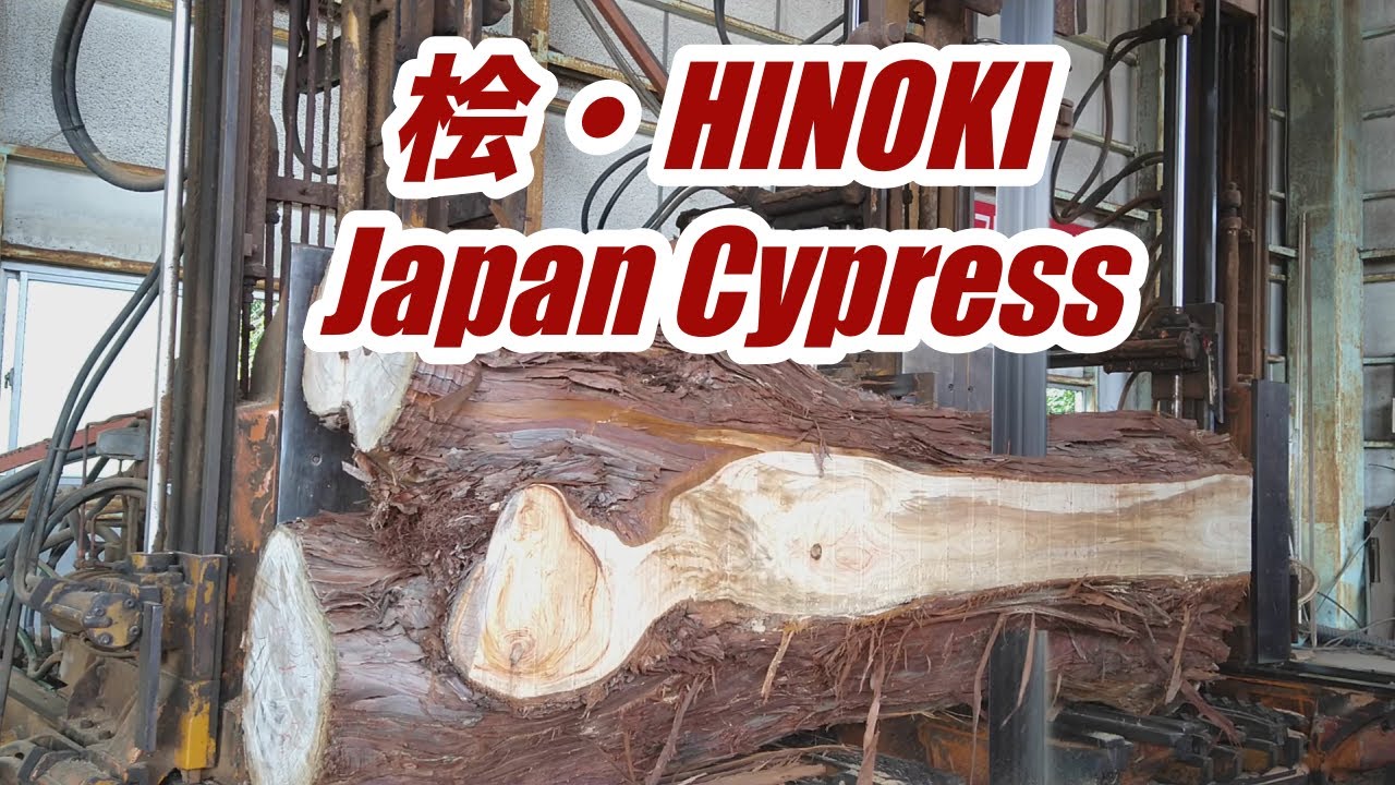 製材】桧・HINOKI・hinoki Cypress - YouTube