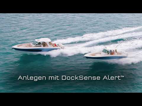 Raymarine DockSense Alert: