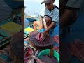 The process of slicing fresh tuna meat is lightning fast #fishcutting #fish #seafood #fishcutting