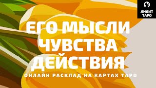 4 КОРОЛЯ: МЫСЛИ, ЧУВСТВА, ДЕЙСТВИЯ онлайн расклад на картах Таро |Лилит Таро| Гадание на 4 короля