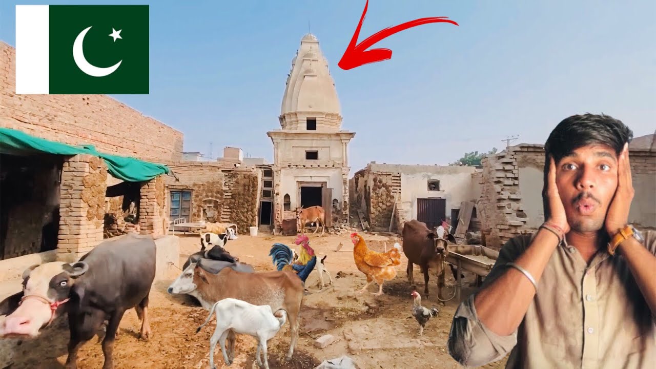 Jog Maya Mandir convert into cattle farm Lodhran Punjab  || Hindu temple in Pakistan || bhaikvlogs