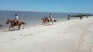 Beach Horseriding in Colonia del Sacramento