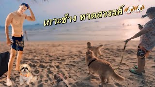 เกาะช้าง หาดสวรรค์ 🐶🐶