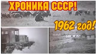 1963 Год ! Cccр! Таласский Район,  Жамбылская Область,