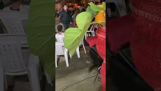 Süleyman Cemal Dereli Resimi