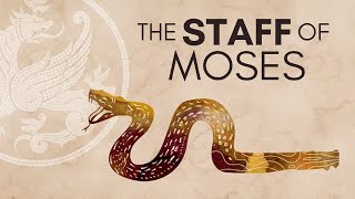 Chaos and Order: The Staff of Moses exodus