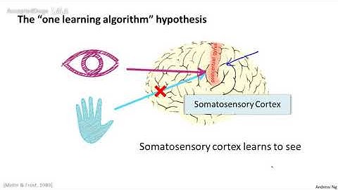 45机器学习（Machine Learning）- 吴恩达（Andrew Ng）中文字幕版Neurons and the Brain 【中英】
