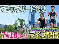 大阪実戦2days1日目※前半は個別実戦【パチンコ人気台or新台】沖縄の逆ホームランショックを吹き飛ばしたい…!! ︎#パチンコ #パチスロ #shorts