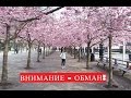 Внимание: курсы - обман!!!