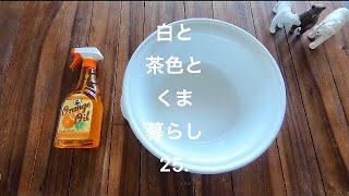 [vlog]25.初めての野田琺瑯とたこ飯作り silokuma blowne vlog