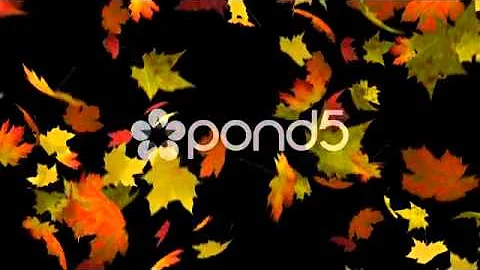 Autumn Leaves Loop - After Effects - Cinema 4D - Stock Footage
