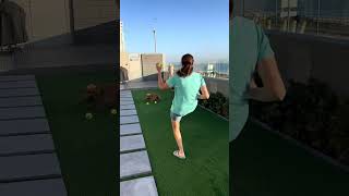 Cloé the Irish Terrier soccer star by Ailimick Irish Terriers Southern Africa 60 views 3 weeks ago 1 minute, 25 seconds