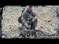 Hunting with an AR for Color Phase Coyotes