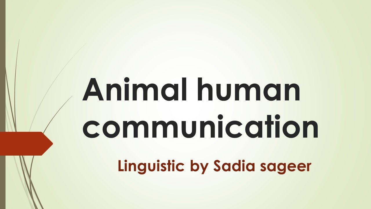 Animal human communication linguistic
