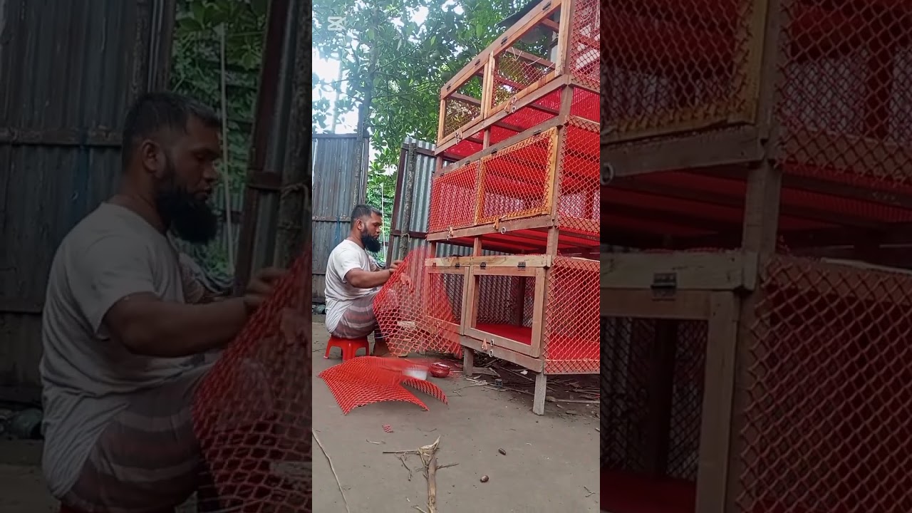 কিভাবে নিজেই মুরগির ৩ তলা খাঁচা বানাবেন? খরচ কত? A টু Z/How to make a 3-story chicken coop yourself?