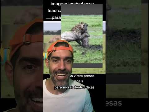 LEO CAVANDO A PRPRIA COVA? | Pidobiologia #shorts