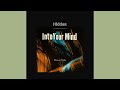 Hidden Into Your Mind