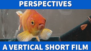 Perspectives- A Vertical Short Filmed on a Cell Phone