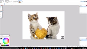 Rogner une image avec Paint.NET