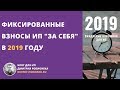 Фиксированные взносы ИП "за себя" в 2019 году: подробная схема и частые вопросы